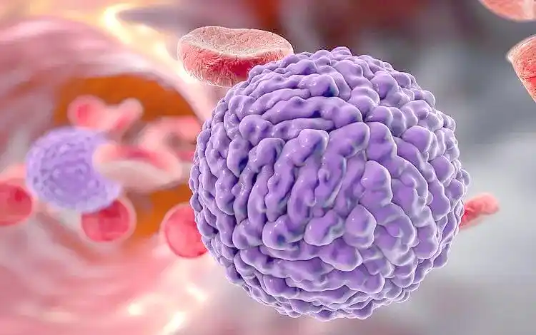 冠状病毒族群传播特点_疫情挑战_近十年全球病毒疫情趋势