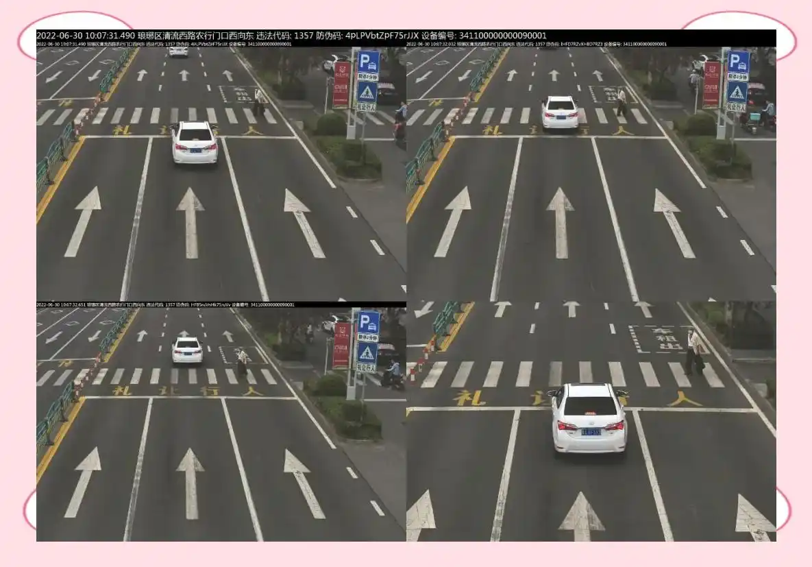 违章警示_交通违法曝光台 未停车让行 违法停车