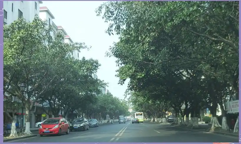 一龙路违章点_长安违章拍摄点_违章高发区域